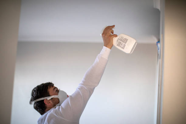 Trusted East Porterville, CA Mold Remediation Experts