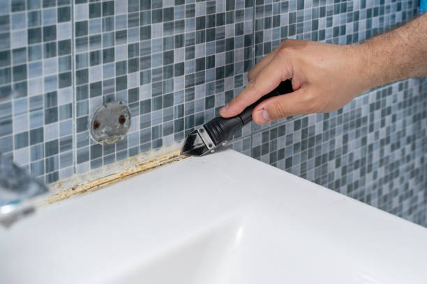 Best Health and Safety Mold Remediation in East Porterville, CA
