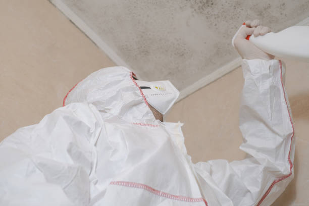 Best Bathroom Mold Remediation in East Porterville, CA
